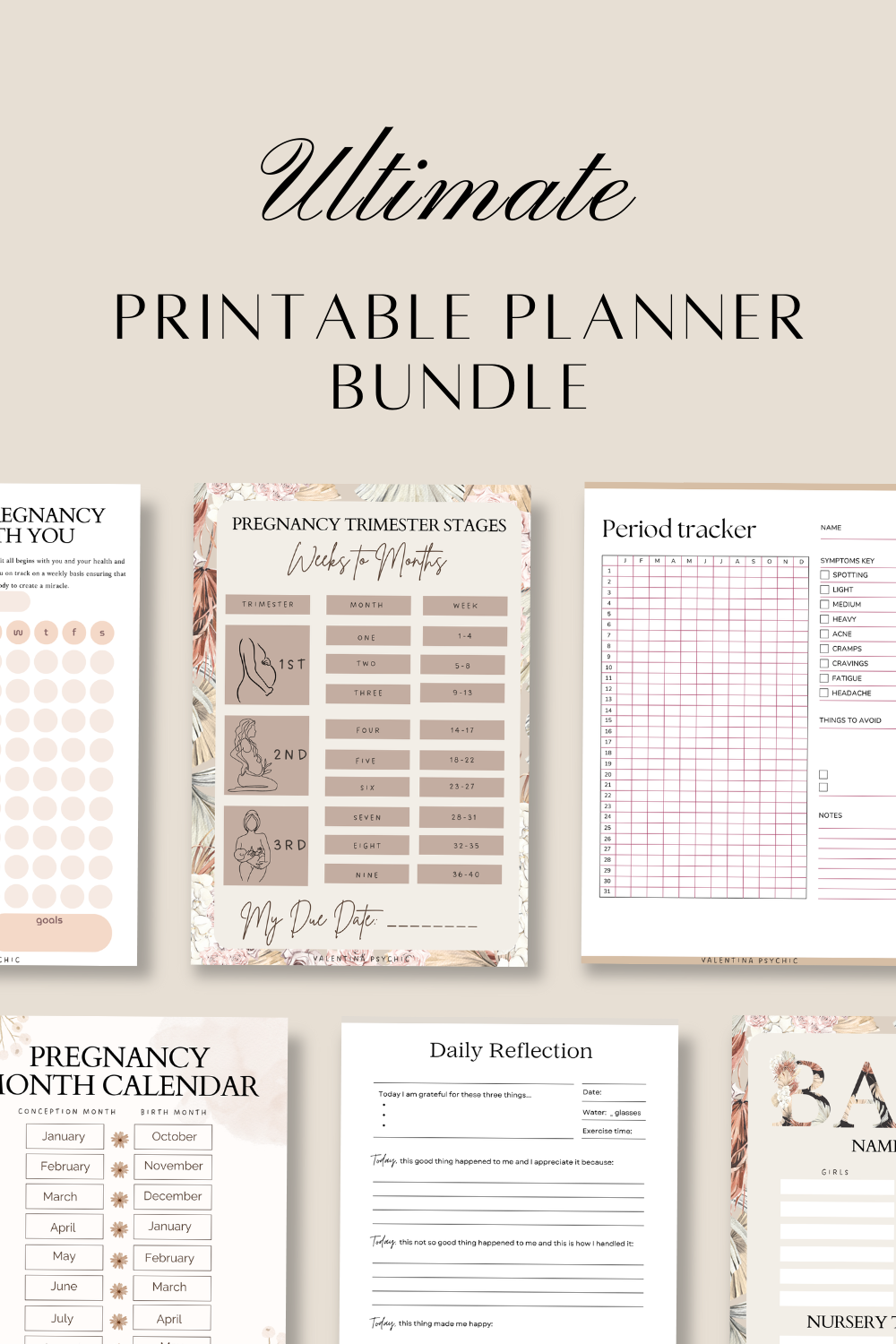 Mama Manifestation Pregnancy Planner & Journal